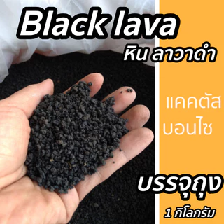 หินภูเขาไฟดำ (หินลาวาดำ Black lava) บรรจุถุง 1 กิโล ขนาด1-5 มิล วัสดุปลูก ผสมดิน โรยหน้ากระถาง แคคตัส (กระบองเพชร) บอนไซ