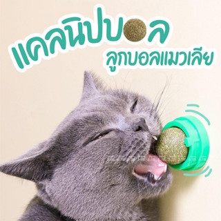 กัญชาแมว แคทนิปบอล Catnip Ball ขนมแมว ของเล่นแมวเลีย แปะกำแพง ball herb