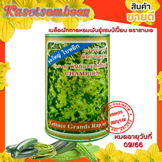 ผักกาดหอม แชมป์เปี้ยน เมล็ดพันธุ์ 400 ก. ตราสามเอ