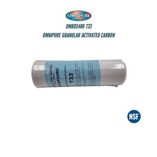 OMNIPURE USA GAC OMB934RO T33 ไส้กรองน้ำดื่ม ขนาด 3.0 x 10