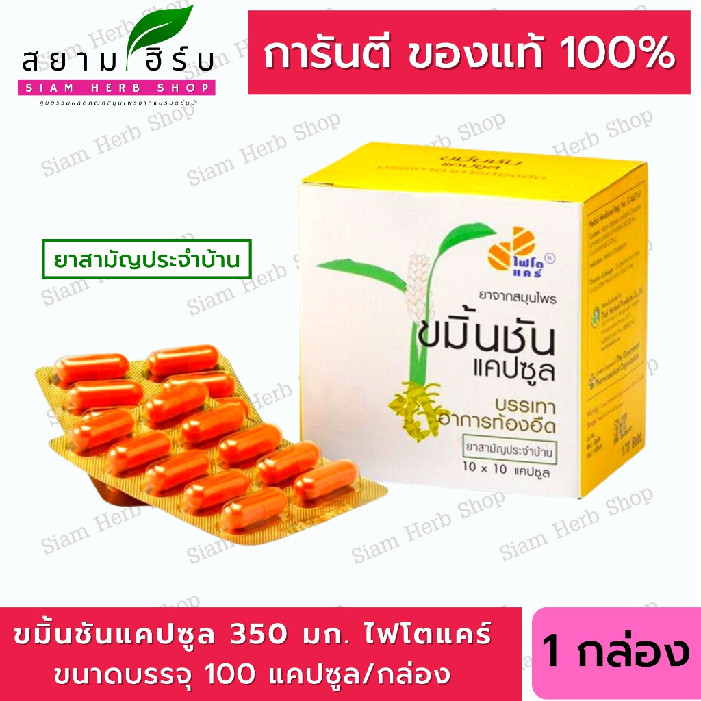 ขมิ้นชันแคปซูล ไฟโตแคร์ GPO (องค์การเภสัชกรรม) 50/100 แคปซูล (ยาสามัญประจำบ้าน)