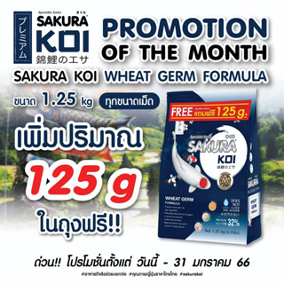 🆓 ฟรี 125g.❗ อาหารปลาคาร์ฟ Sakura Koi (ซากุระ โค่ย) สูตร🌾วีทเจิร์ม🟢สมดุล / 🔴เร่งสี / ⚪เร่งขาว ขนาด 1.25 กก. ฟรี 125g