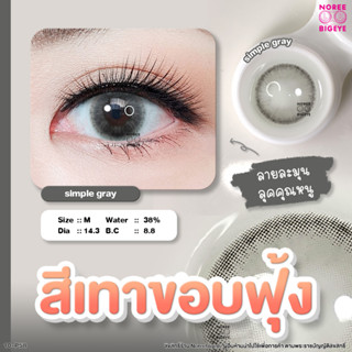 Simple Gray/สีเทา [สายตาสั้น -0.00 ถึง -6.00] คอนแทคเลนส์  / ยี่ห้อ PrettyDoll