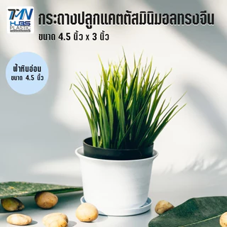 กระถางปลูกแคตตัสมินิมอลทรงจีนสีหินอ่อน ขนาด 4.5" x 3" ราคาถูก กระถางพลาสติก กระถางต้นไม้กระถางดอกไม้