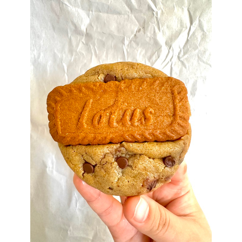 Lotus Biscoff Choco Soft Cookie