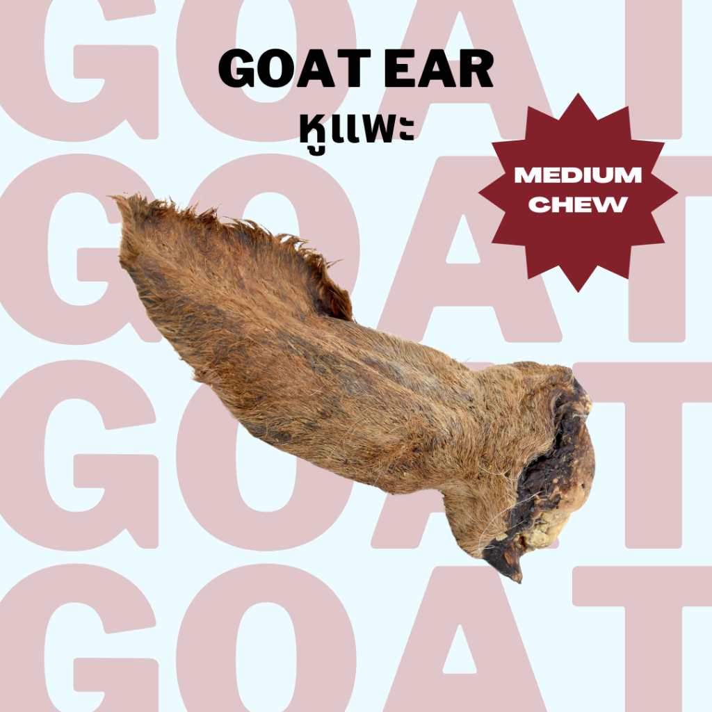 หูแพะ ขนมแทะหมาแมวอบแห้ง แก้เบื่อ ขัดฟัน Bella's Bites Goat Ear Chew for Dogs and Cats