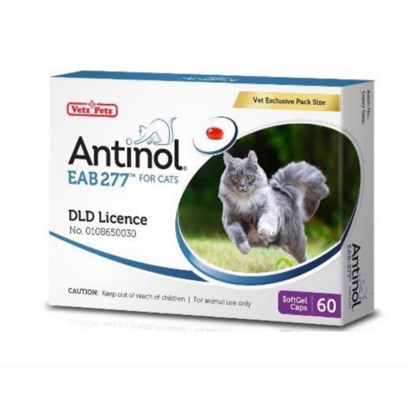 Vitamins & Supplements 1190 บาท Antinol Cat (Exp.07/2024) แอนทินอล อาหารเสริม บำรุงข้อ ช่วยลดการระคายเคืองที่ผิวหนัง สารสกัดจากธรรมชาติ 60 เม็ด Pets