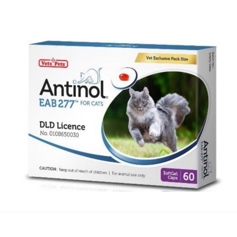 Antinol Cat (Exp.3/2025) แอนทินอล อาหารเสริม บำรุงข้อ ช่วยลดการระคายเคืองที่ผิวหนัง