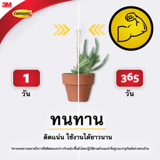 3M™ Command™ คอมมานด์ ตะขออเนกประสงค์ ขนาดเล็กพิเศษ, 17066, รับน้ำหนักได้ 225 ก., 3 ชิ้น/แพ็ค