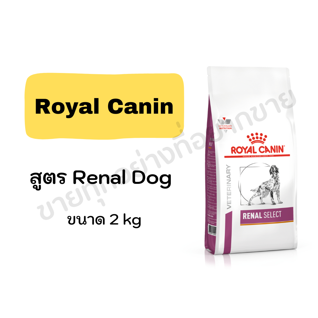 Royal Canin Renal  Dog อาหารประกอบการรักษาโรคสำหรับสุนัขโรคไต