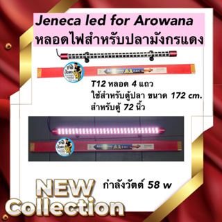 Jeneca led for Arowana Taning หลอดไฟสำหรับปลามังกรแดง T12 หลอด 4 แถว ใช้สำหรับตู้ปลา ขนาด 172 cm. สำหรับตู้ 72 นิ้ว