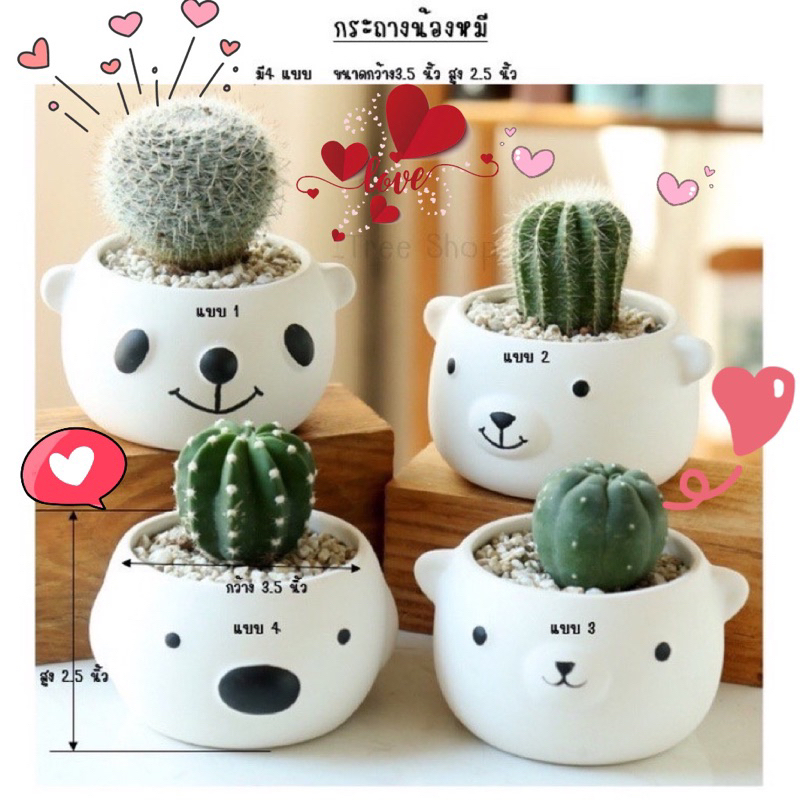 สินค้าพร้อมส่ง เซรากระถางลายหมีถาดรอง#ของขวัญ#วาเลนไท