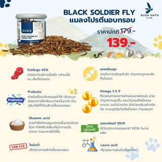 แมลงโปรตีนอบแห้ง หนอนอบแห้ง (Black Soldier Fly) อาหารสัตว์เล็ก เม่นแคระ หนูแฮมเตอร์ ชูการ์ไกรเดอร์ แพรี่ด็อก สุนัข