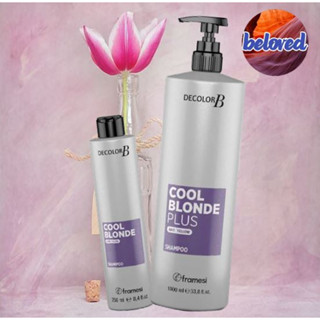 Framesi Decolor B Cool Blonde Plus Shampoo แชมพูแอนตี้เยลโล่