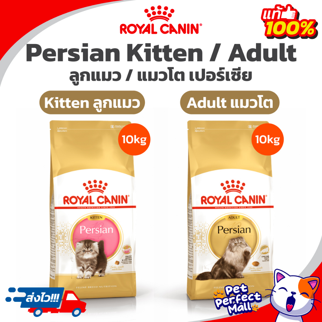 Royal Canin  Persian 10kg โรยัลคานิน อาหารแมวโตเปอร์เซ๊ย / Kitten Persian 10kg อาหารลูกแมวเปอร์เซีย ถุง 10 กก