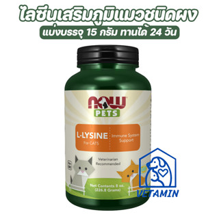 พร้อมส่ง NOW L-Lysine Powder 15กรัม กระตุ้นภูมิแบบผง สำหรับแมวภูมิตก ป่วย เป็นหวัด หัด เอดส์ ติดเชื้อ  พักฟื้น Exp.10/25