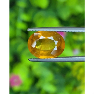 พลอย บุษราคัม yellow sapphire 3.67 กะรัต (Cts.)