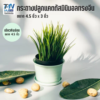 กระถางปลูกแคตตัสมินิมอลทรงจีนสีหินอ่อน ขนาด 4.5" x 3" ราคาถูก กระถางพลาสติก กระถางต้นไม้กระถางดอกไม้