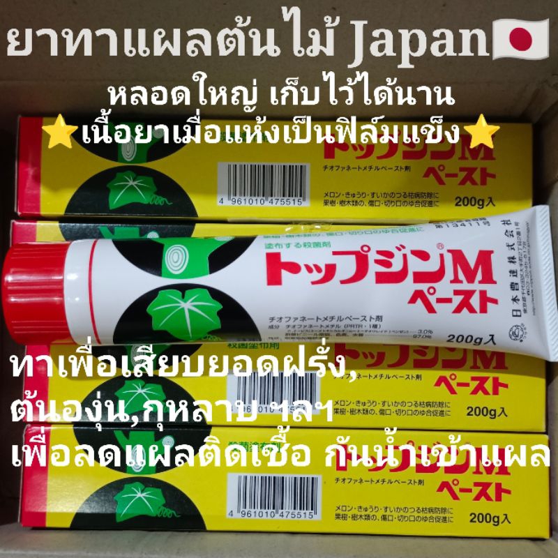 ยาทาแผลต้นไม้ ยาเสียบยอดฝรั่ง ยาเสียบยอดมะเดื่อฝรั่ง Made in Japan⭐สินค้าแนะนำ⭐ยากาวหลอดทาแผลต้นไม้ 