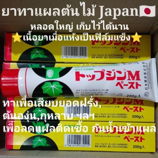 ยาทาแผลต้นไม้ ยาเสียบยอดฝรั่ง ยาเสียบยอดมะเดื่อฝรั่ง Made in Japan⭐สินค้าแนะนำ⭐ยากาวหลอดทาแผลต้นไม้ กันน้ำเข้าแผล