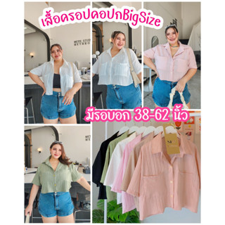 M99เสื้อครอปคอปกไซส์ใหญ่(Basicสีพื้น)เสื้อครอปคอปกสาวอวบอ้วนเสื้อครอปคอปกคนอ้วน