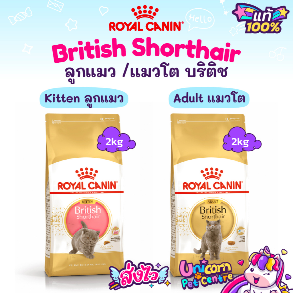 Royal Canin British Shorthair 2kg  / British Shorthair Kitten โรยัลคานิน อาหารแมวโต ลูกแมว บริติช ถุง 2 กก ราคา ถูกที่สุด ดีลบีเคเค