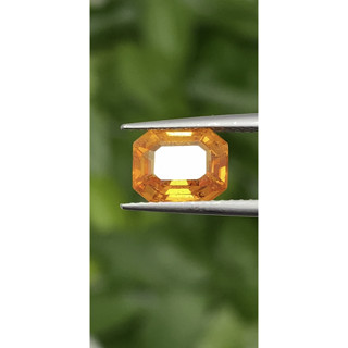 พลอย บุษราคัม Yellow Sapphire 2.28 กะรัต (Cts.)