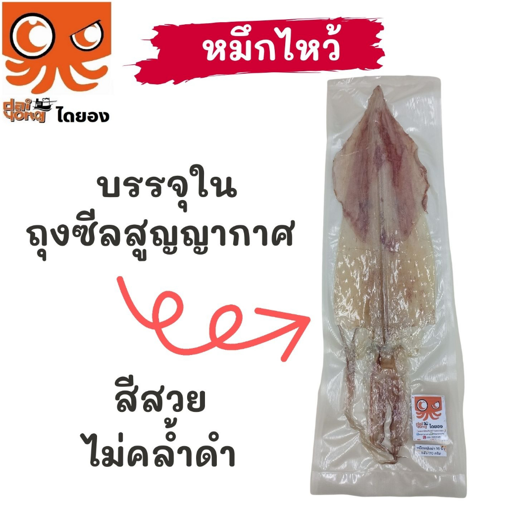 หมึกไหว้ หมึกหนังผ่า ตัวใหญ่ยาว 15 นิ้ว (บรรจุ 1-2 ตัว น้ำหนัก 130-250 กรัม) มีสินค้าจริง ส่งไว