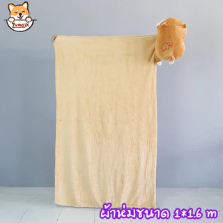 หมอนผ้าห่ม ตุ๊กตา หมู หนู แฮมเตอร์ ผ้าห่มนาโน 1 x1.6 m ตุ๊กตายาว ≈ 45 cm หมอนตุ๊กตาลายปักอย่างดี ผ้านุ่มมาก doll ZumoIX