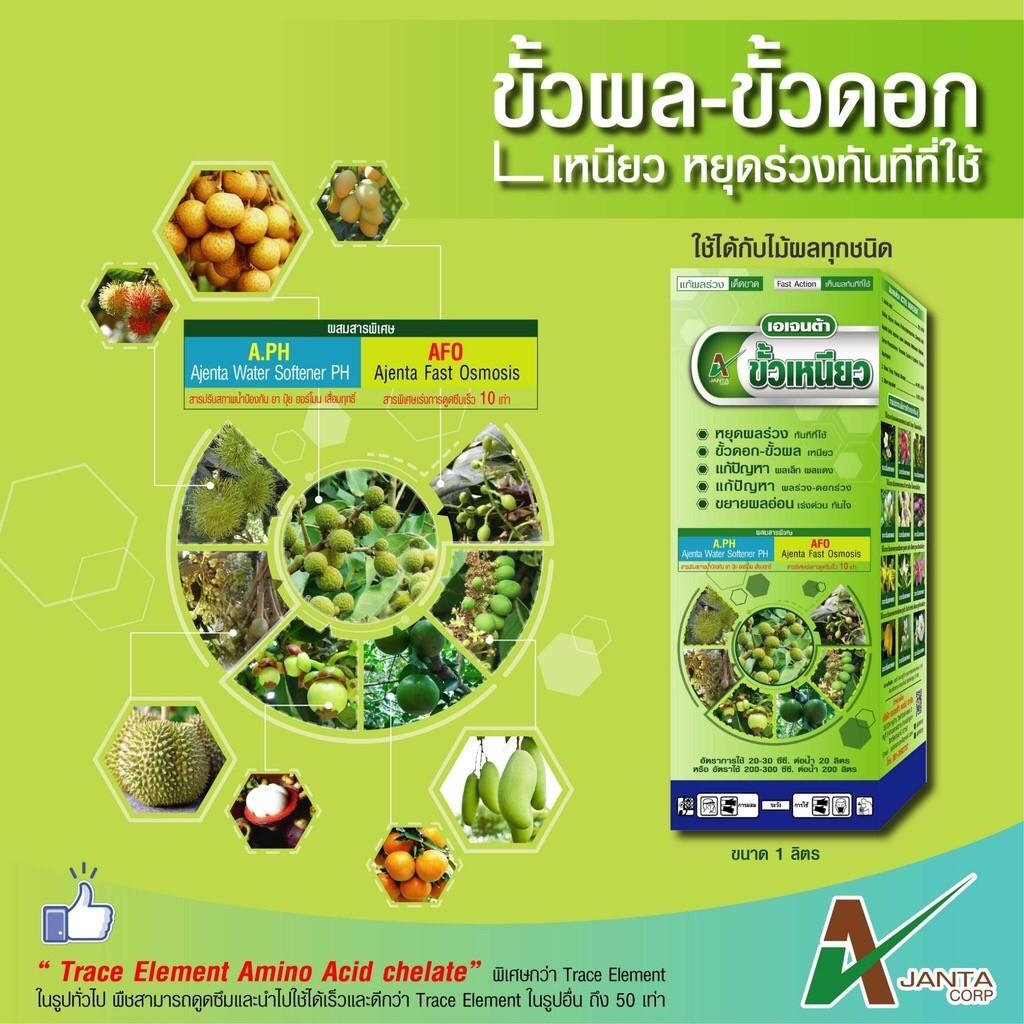 ขั้วเหนียว หยุดผลร่วงทันทีที่ใช้ แก้ปัญหาผลเล็ก ผลแดง หยุดดอกร่วง ผลร่วง ขั้วดอก ขั้วผล เหนียว เอเจนต้า คอร์ป (1 ลิตร)