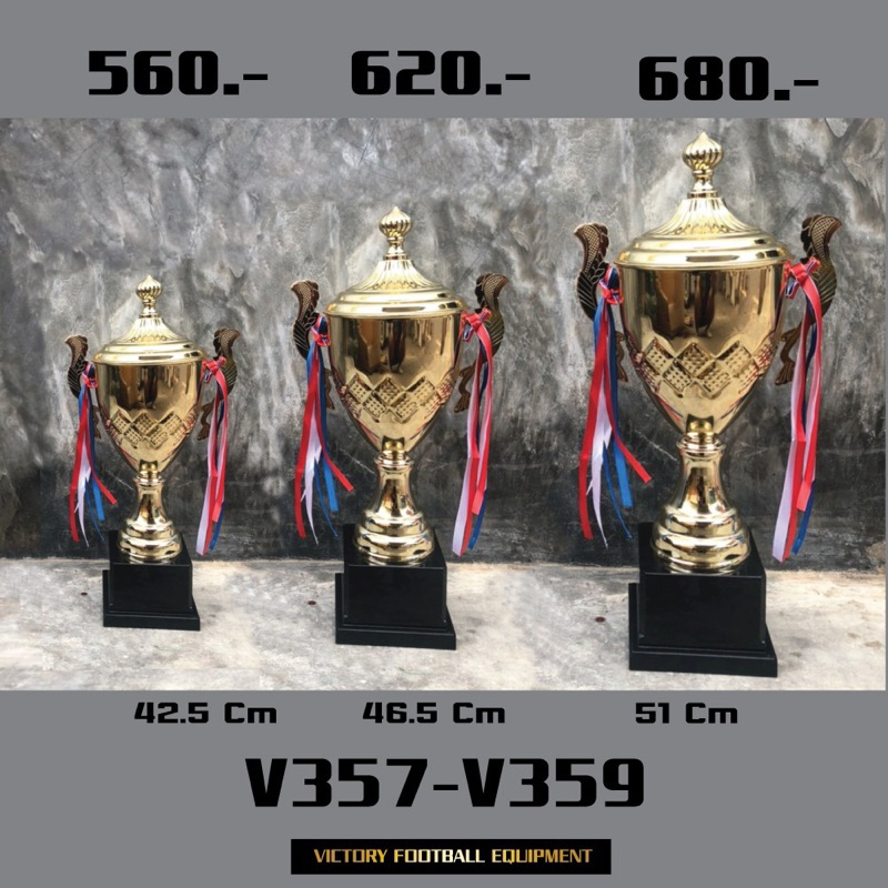 ถ้วยรางวัลL311/42.5-46.5-51 cm V357-V359