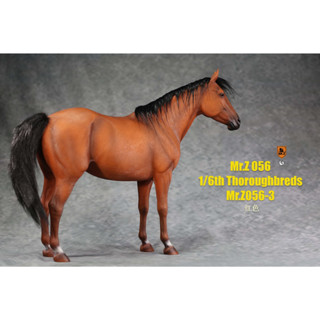 MR.Z MRZ056 1/6 animal model No.56 Thoroughbreds MRZ056-3