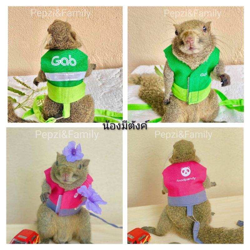 🌟🌟ถูกที่สุด​ 🌟🌟เสื้อ​พร้อม​สาย​จูง​กระรอก[[[ Pepzi&Family ]]] เสื้อพร้อมสายจูง กระรอก