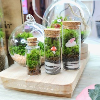 05 สวนขวดจิ๋ว Terrarium ของขวัญ