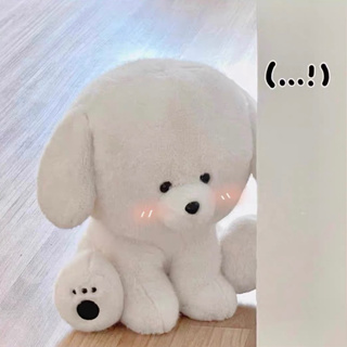 🐶 ℂ𝕙𝕦𝕓𝕓𝕪 ℙ𝕦𝕡𝕡𝕪 •ᴥ• ตุ๊กตา น้องหมา สีขาว สุดแบ๊ว ☁️ ตุ๊กตาน่ารัก ของขวัญวันเกิด ของขวัญรับปริญญา ของขวัญ ตุ๊กตารับปริญญา