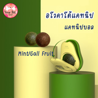 อโวคาโด้แคทนิป แคทนิปบอล Gall Fruit Mint แคทนิปติดผนัง อโวคาโด้ติดผนัง ของเล่นแมว สก็อตติช โฟลด์ เปอร์เซีย สีสวาด ขาวมณี