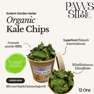 [Paws-sible] Organic Kale Chips เคลอบกรอบ ออแกนิก ผักอบสำหรับแฮมสตอร์ ผักอบแฮมเตอร์ ผักอบแฮมสเตอร์ ขนมกระต่าย ขนมแกสบี้