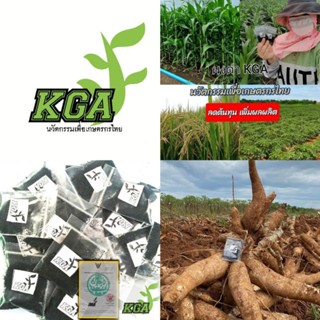 KGA ผงดำ นวัตกรรมเพื่อเกษตรกรยุคใหม่ ลดต้นทุนเพิ่มผลผลิต ลดปุ๋ย ลดเคมี  ชีวิตดี มีกำไร