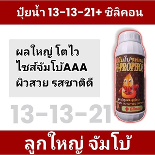 💥ปุ๋ยน้ำ 13-13-21 +ซิลิคอน💥💦ปุ๋ยน้ำสูตรเร่งโต ผลใหญ่ เร่งรวง เร่งน้ำหนัก ผิวสวย รสชาติดี💦