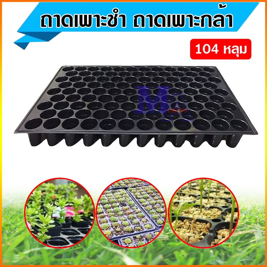 ถาดเพาะ ถาดหลุม ถาดเพาะชำ 104 - 200 หลุม ถาดเพาะต้นอ่อน ถาดเพาะเมล็ด สำหรับเพาะปลูก เพาะเมล็ดพันธุ์ทางการเกษตร