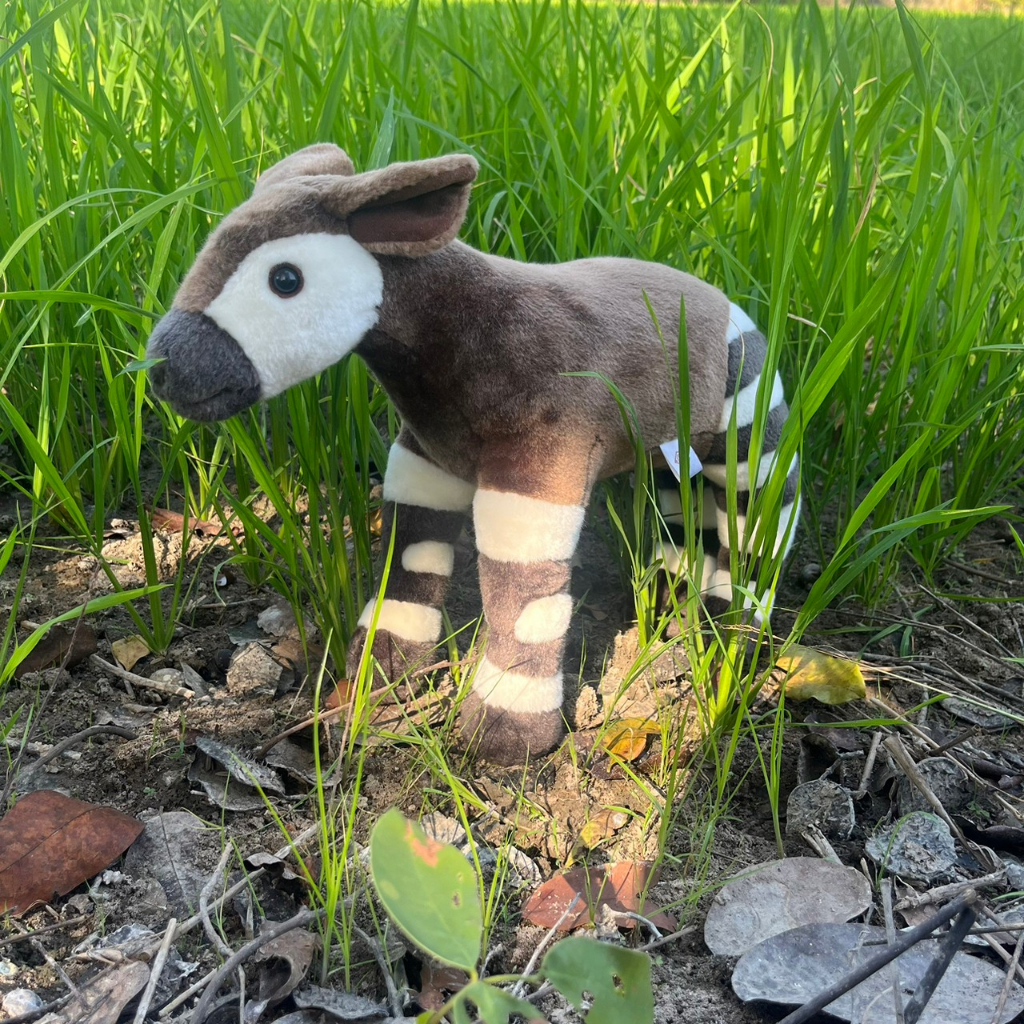 [ชิ้นนีส่งปณ.ไทยเท่านั้น] ตุ๊กตาโอคาพี โอคาพี  โอคาพีเหมือนจริง ตุ๊กตาสัตว์เหมือน สัตว์ Okapi Wild R