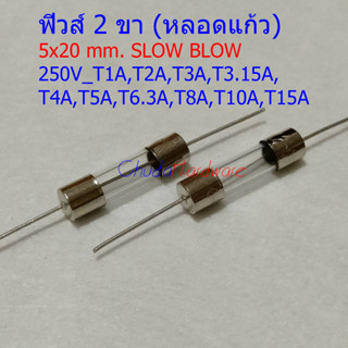 ฟิวส์ 2 ขา glass fuse บัดกรี หางหนู หลอดแก้ว 5x20mm 250V T0.5A ถึง T25A #PG5x20T (1 ตัว)