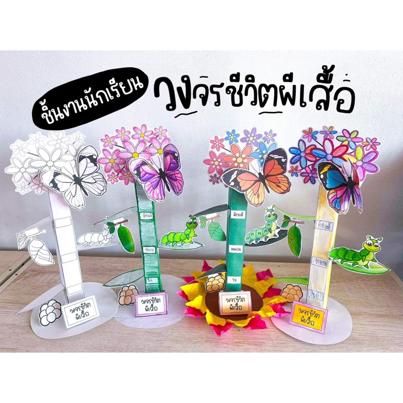 สื่อปันสุข วงจรชีวิตผีเสื้อ