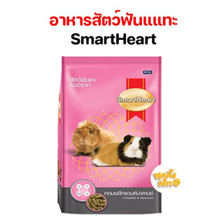 smartheart rodent ขนาด 3 กก สมาร์ทฮาร์ท อาหารสำหรับสัตว์ฟันแทะ