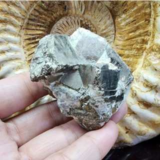 หินไพไรต์เปรู หินไพไรต์ ไพไรต์ เพชรหน้าทั่ง(Pyrite)ยาว 5.8 ซม. กว้าง 5.2 ซม.หนา 4.2 ซม.น้ำหนัก 228.9 g.