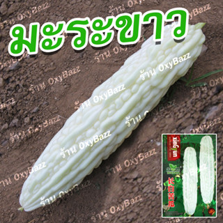 เมล็ดมะระขาว เมล็ดพันธุ์มะระจีนขาว 10เมล็ด White Bitter Gourd Seeds