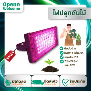 ไฟปลูกต้นไม้ 50วัตต์ ไฟปลูกพืช ไม้ด่าง SMD LED glowth Light 380-780 nm. กันน้ำ