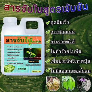 สารจับใบ🍃สูตรเข้มข้น ขนาด 1 ลิตร(จัดส่งไวมาก)✅