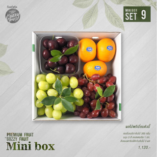 Premium fruit Mini box set 9