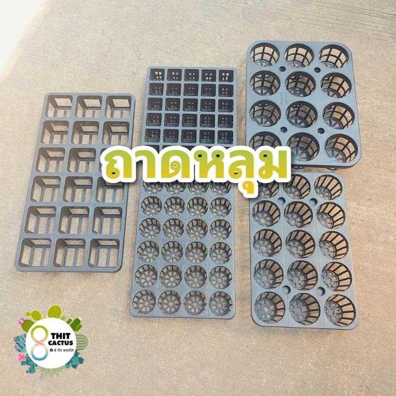 ##++ ถาดหลุม ถาดใส่กระถางต้นไม้ // 2 นิ้ว 2.5 นิ้ว 3 นิ้ว 4 นิ้ว 30หลุม+10